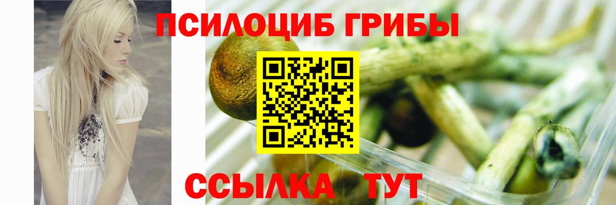 Псилоцибиновые грибы Psilocybine cubensis  Вход с VPN  Галлюциногенные грибы мухоморы  хочу наркоту  Кировск 
